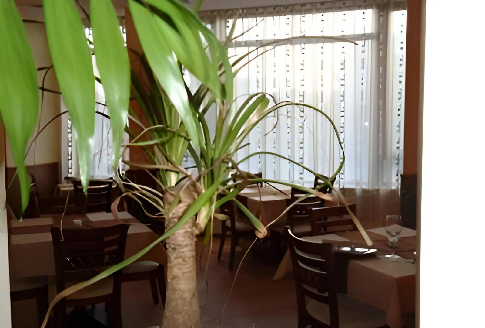 Hotel Elica Varna